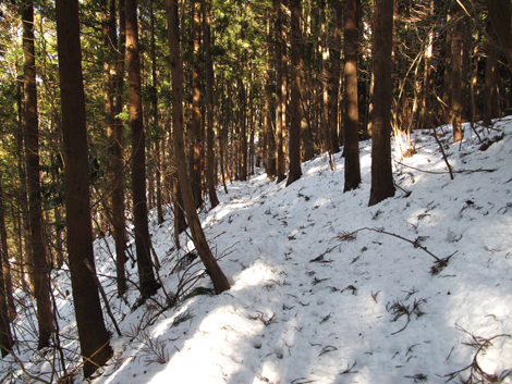 20180126hike (275)